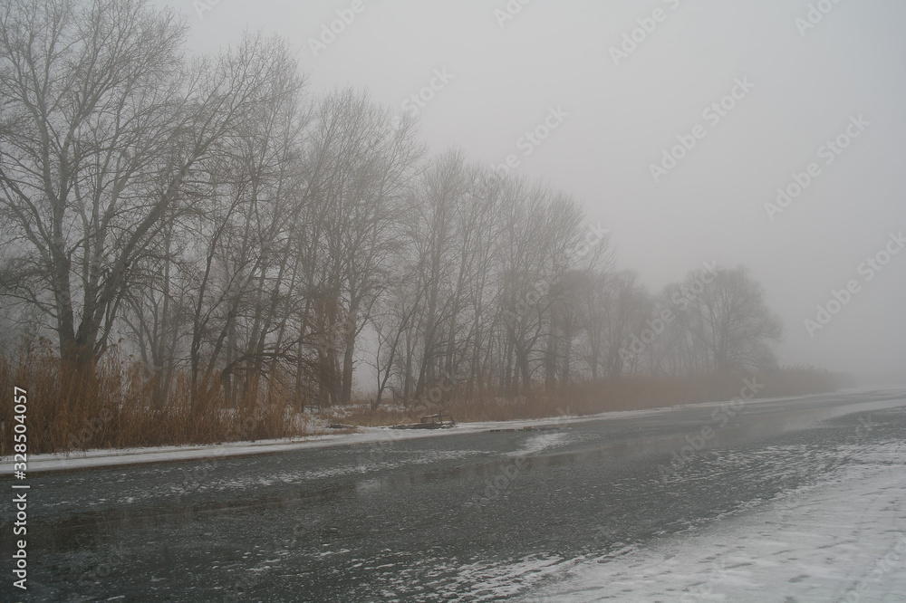 Spring landscape with a tree, with dry reeds, a river that gets rid of ice.