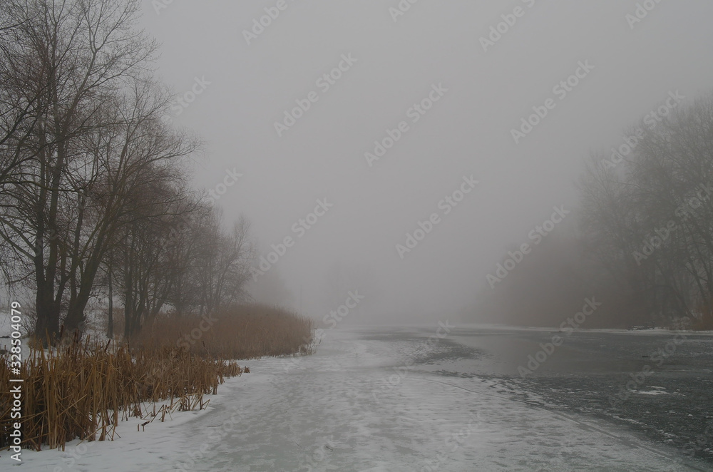 Spring landscape with a tree, with dry reeds, a river that gets rid of ice.
