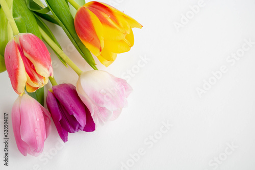 White background with decor of pink tulip flowers. postcard