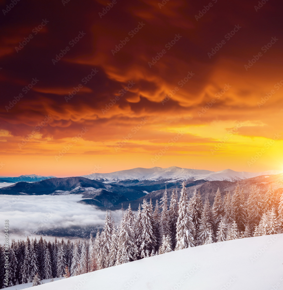 Awesome view of the fairy-tale woodland. Location Carpathian mountains, Ukraine, Europe. Awesome view of the fairy-tale woodland. Location Carpathian mountains, Ukraine, Europe.