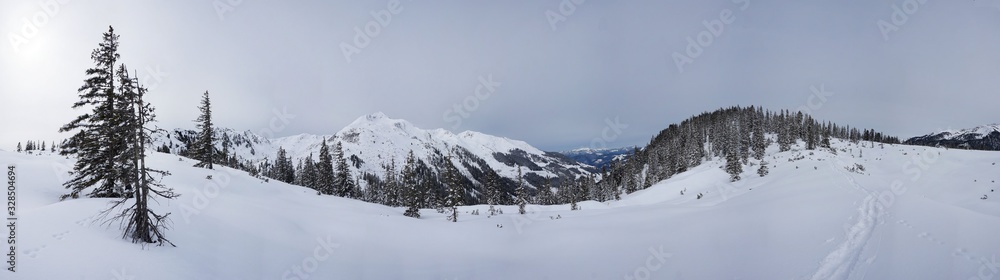 Panorama am Siedljoch