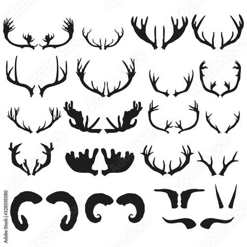 A set of horns