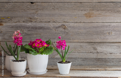spring flowers on old wooden background