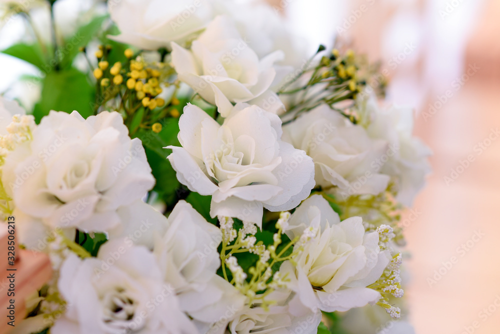 abstract flower background in bloom abstract flower background in bloom