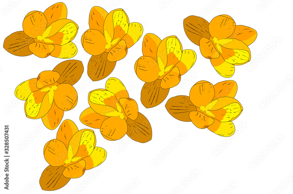 set of illustrated abstract flowers isolated on white background top view