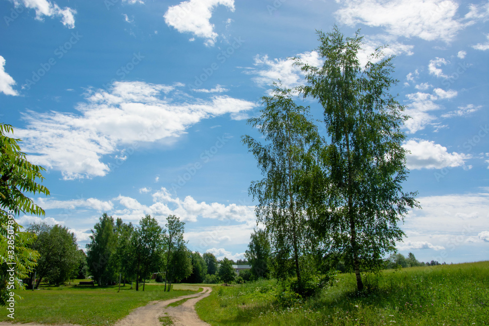Obraz premium Beautiful latvian nature. Scenic landscape of green field, trees and blue sky. Winding rural road.