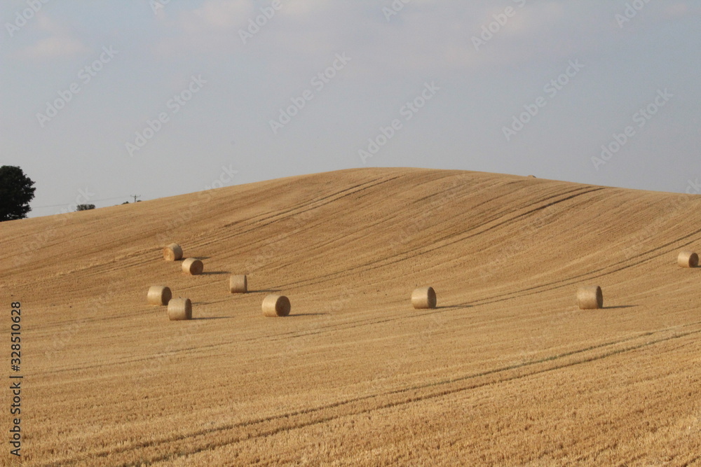 Round bales of hay in rural field in summer in England West Yorkshire, Britain UK