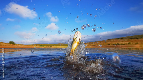 Wallpaper Mural Big Bass Large mouth - Fishing Torontodigital.ca