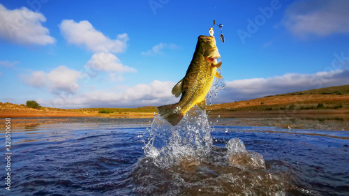 Big Bass Large mouth - Fishing photo