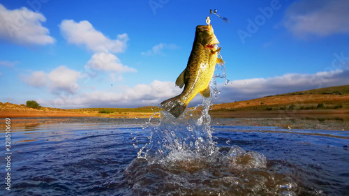 Big Bass Large mouth - Fishing