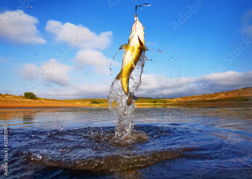 Big Bass Large mouth - Fishing