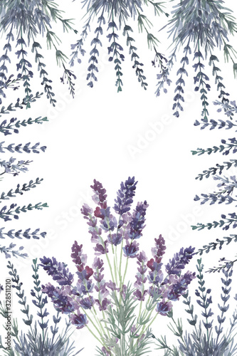 lavender provence watercolor pattern print textile aromatherapy herbs spring flowers blooming on a white background frame logo postcard