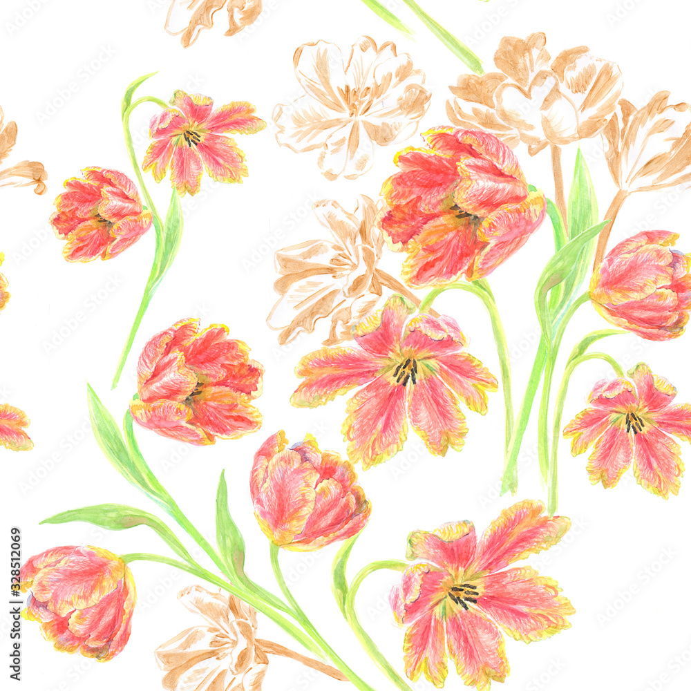 Tulip Tulip
