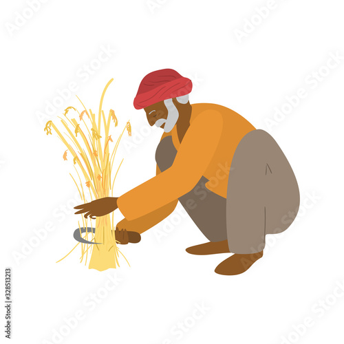Vector illustration of elderly indian farmer sitting on haunches cutting the wheat. Authetic agriculture. Asian worker. Eat local concept.