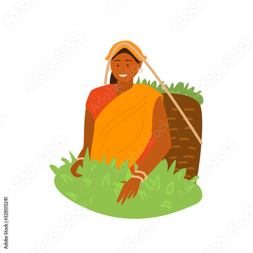 Vector illustration of young smiling  indian village woman in traditional dress picking tea leaves in wicker basket on tea plantation. Traditional agriculture. Flat.