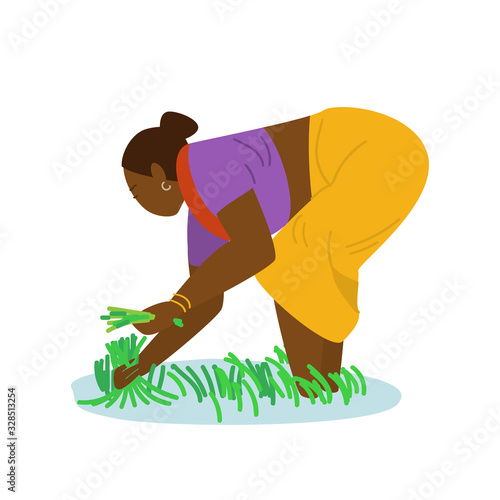 Indian woman farmer working on rice field. Hand drawn flat vector illustration. Authentic traditional agriculture.