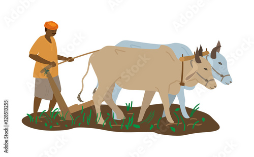 Vector illustration of indian farmer in turban with pair of oxen plowing field. Traditional agriculture. Flat style.
