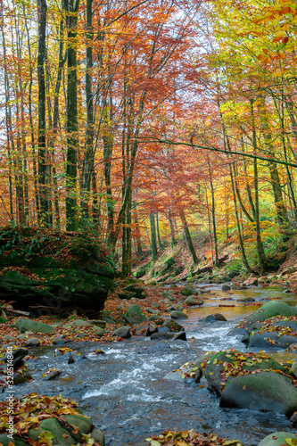 forest river in autumn