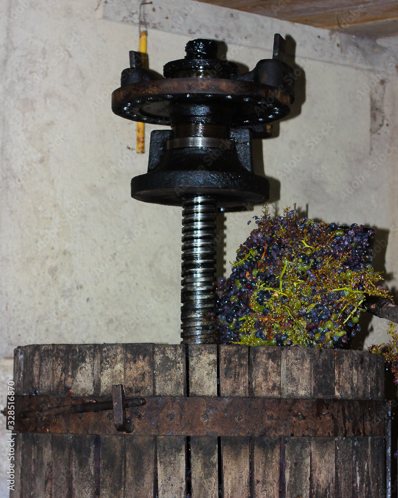 Bunches of grapes in the second phase of pressing during a vintage harvest. Bunches of grapes in the second phase of pressing during a vintage harvest.