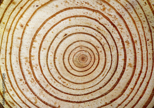 fondo de madera con aros de árbol