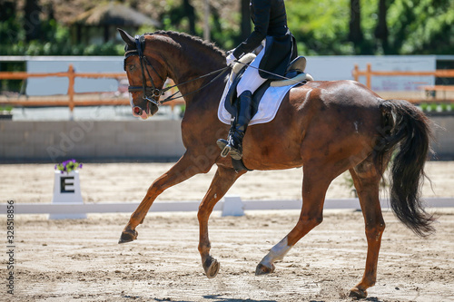 Dressage horse with rider at a gallop change, photographed while jumping.. © RD-Fotografie