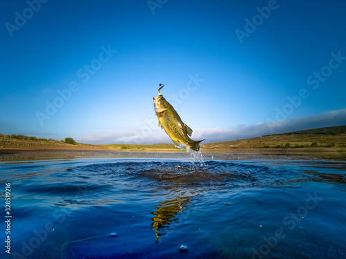 Fotografia, Obraz Bass Fishing on lake