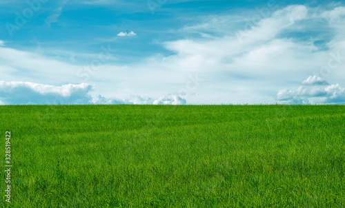 green grass field and blue sky