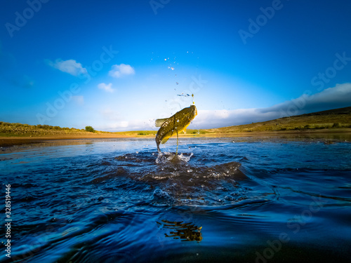 Wallpaper Mural Bass Fishing on lake Torontodigital.ca