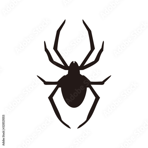 Spider vector icon illustration sign