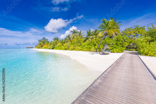 Maldives perfect paradise beach tropical island background. Beautiful palm trees, jetty beach landscape mood blue sky blue sea luxury travel summer holiday concept website design zen inspirational
