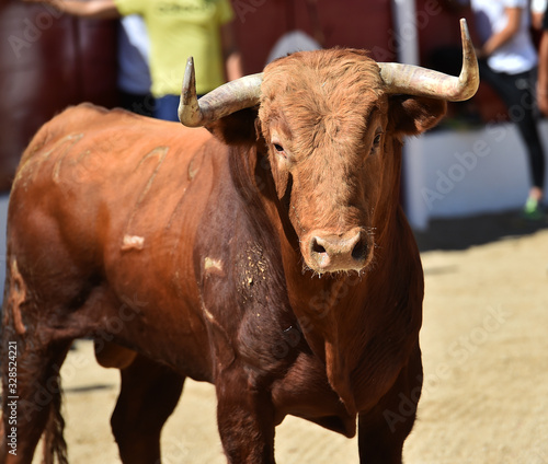 toro poderoso en españa