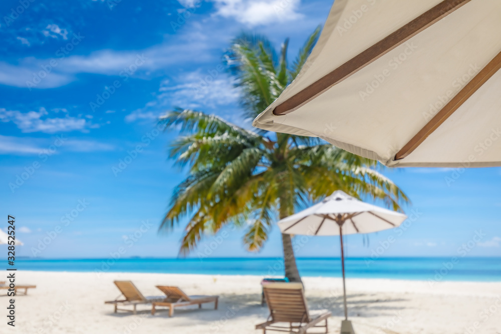 Loungers, chairs, beds with umbrella and palm tree on white sand close to blue sea. Amazing summer travel and vacation landscape. Tropical nature pattern, luxury beach scenery, exotic landscape 