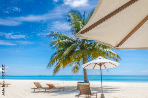 Loungers  chairs  beds with umbrella and palm tree on white sand close to blue sea. Amazing summer travel and vacation landscape. Tropical nature pattern  luxury beach scenery  exotic landscape 