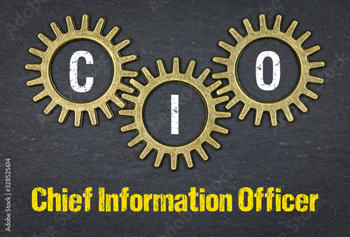 CIO Chief Information Officer