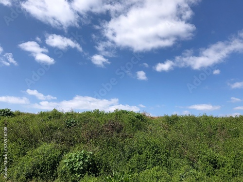 green field and blue sky