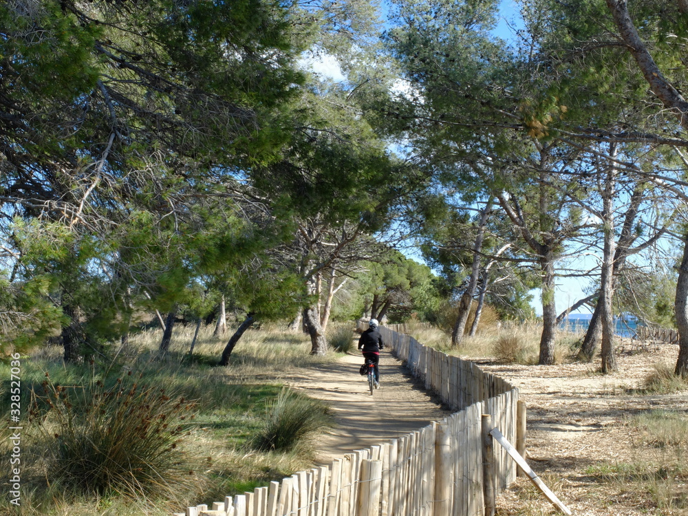 Vieux salins d'Hyères Vieux salins d'Hyères