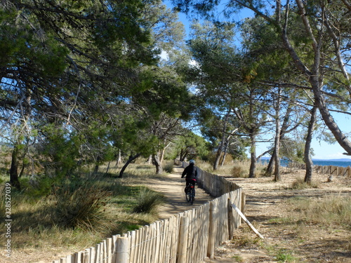 Vieux salins d'Hyères