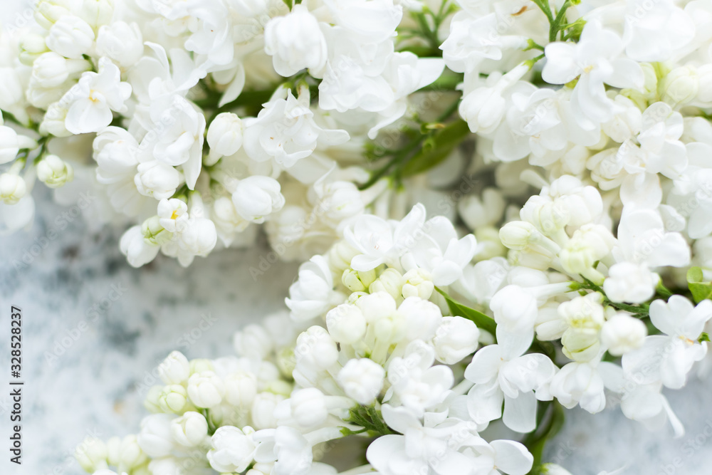 Beautiful spring lilac texture background Beautiful spring lilac texture background