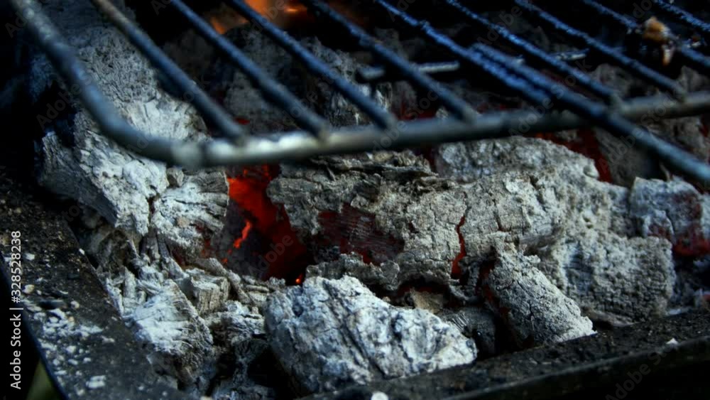 Chicken Barbecue on Coal Fire