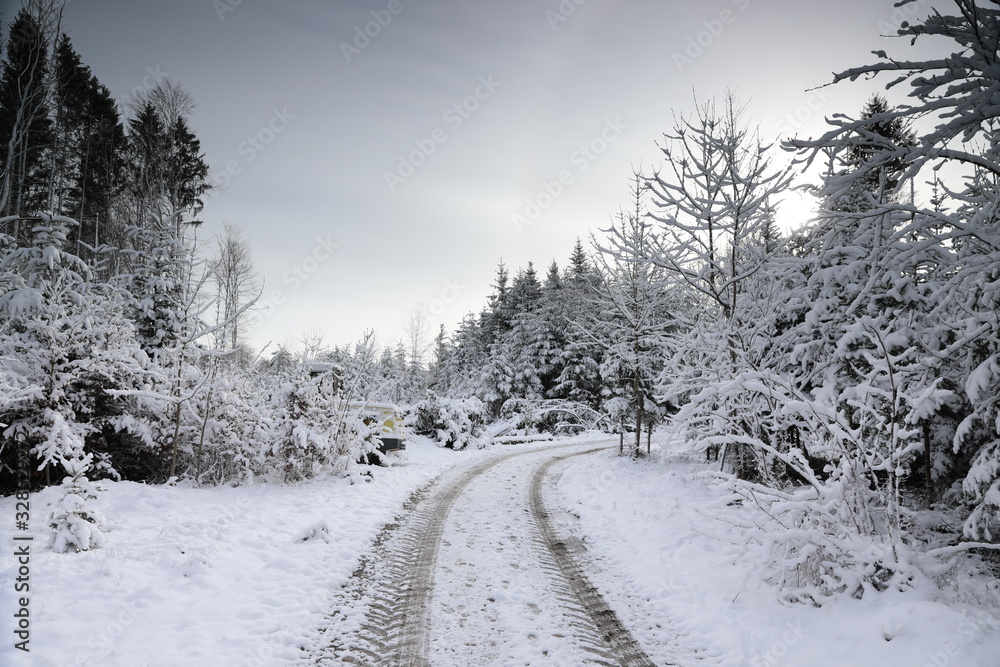 Obraz premium waldweg