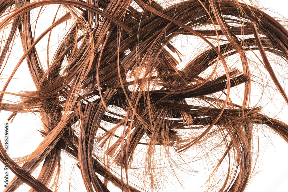 Close-up brown hair strands trimmed in a hairdressing salon lie on a white isolated background. Concept new hairstyles cutting the ends of the hair and updating image. Advertising space Close-up brown hair strands trimmed in a hairdressing salon lie on a white isolated background. Concept new hairstyles cutting the ends of the hair and updating image. Advertising space
