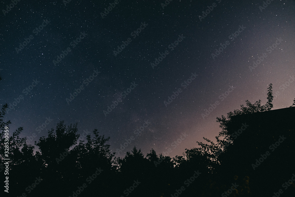 Fototapeta premium Night starry sky in the countryside