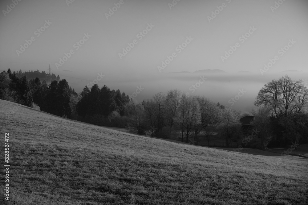 Obraz premium A valley in fog. Frozen grass in a winter days. Foggy landscape