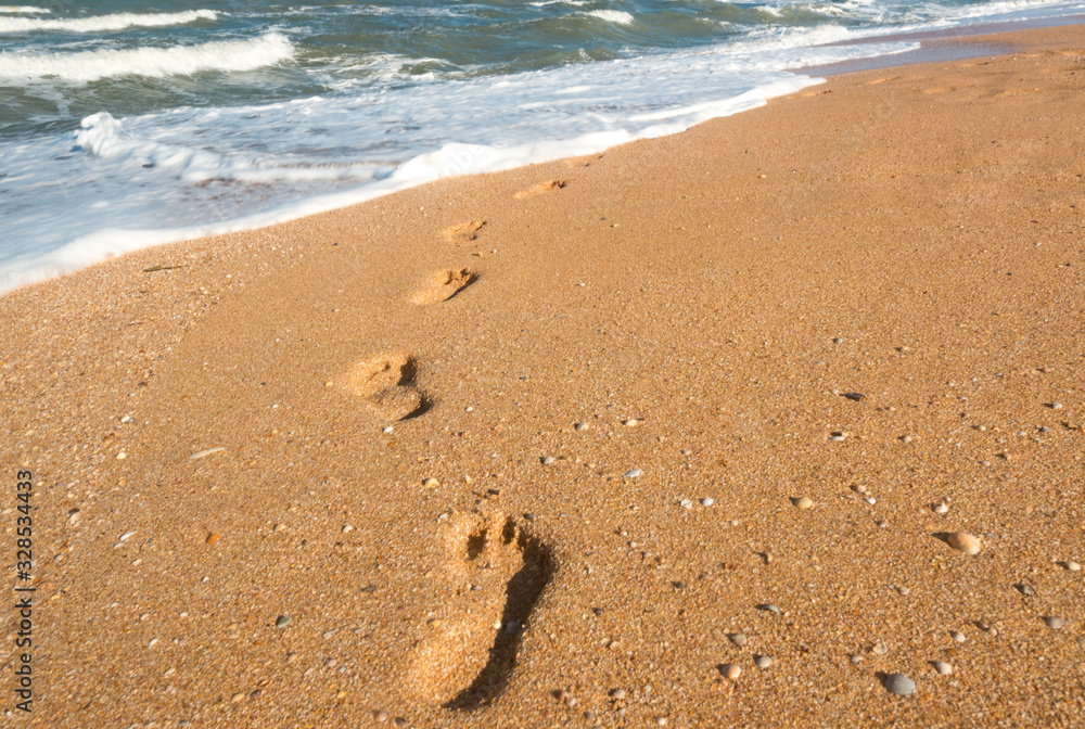 Footprints on wet sand leading to sea waves Footprints on wet sand leading to sea waves