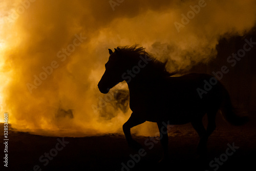 Silhouette of the back of the head of a Haflinger Horse with waving manes  looking into the smoke in a orange atmosphere
