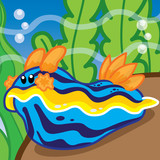 Nudibranchs cartoon vector, sea animal cute vector