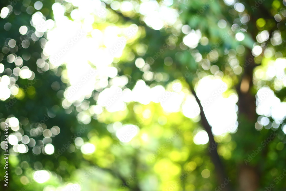 image blur green nature background image blur green nature background