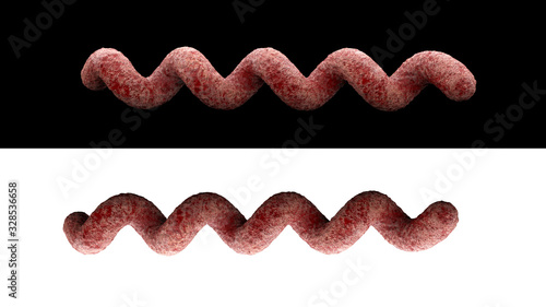 Bilde på lerret Treponema pallidum bacteria causing syphilis isolated on white and black backgro