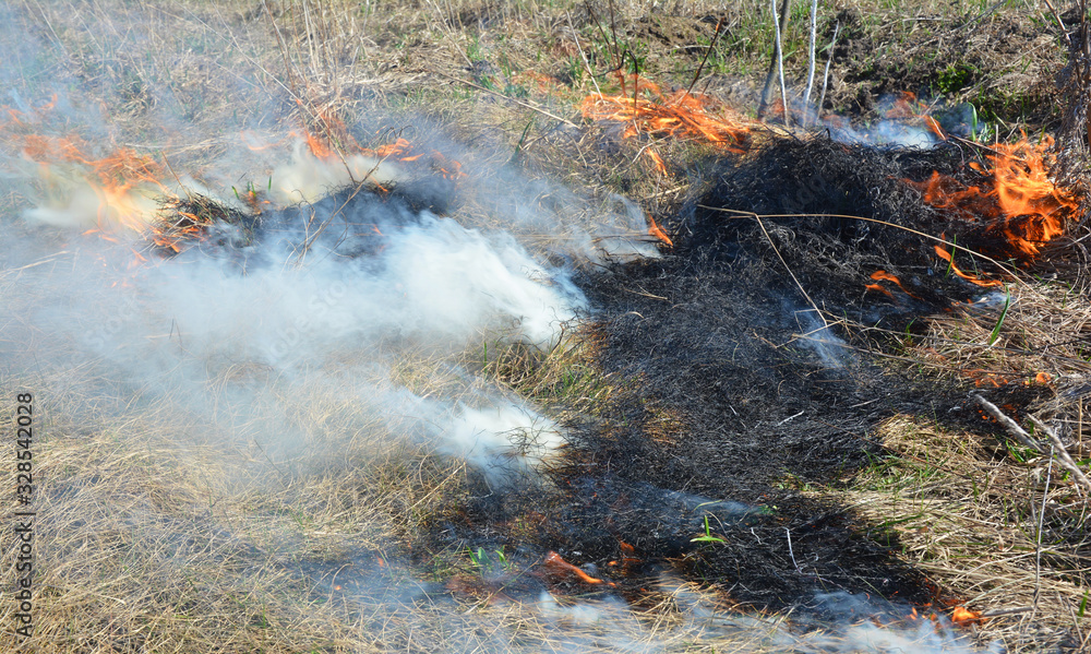 Thatch removal with fire. Grass burning. Thatch removal with fire. Grass burning.