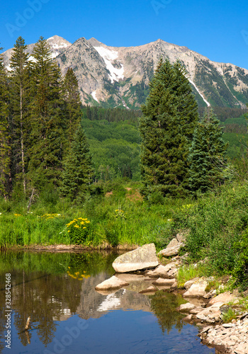 Wildflower landscape in Colorado near Kebler Pass. Crested Butte area. About one hour from Gunnison.